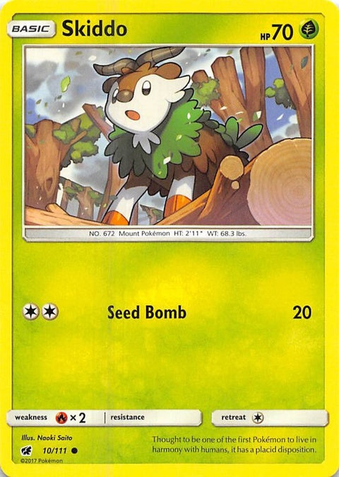 10-skiddo
