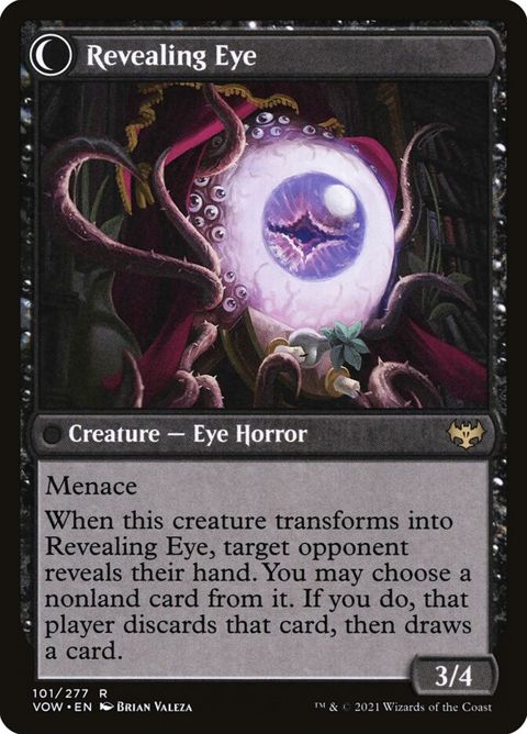 101-concealingcurtainsrevealingeye