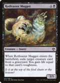 105-rotfeastermaggot