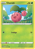 11-cherubi