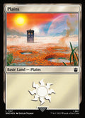 1157-plains