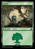 1164-forest