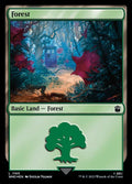 1165-forest