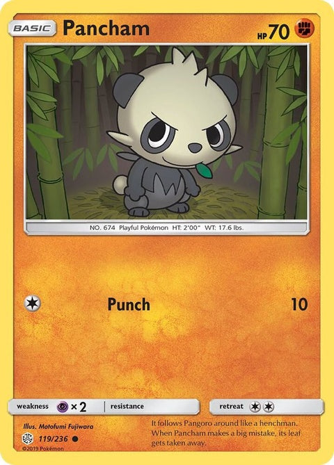 119-pancham