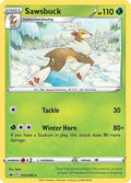 12-sawsbuck