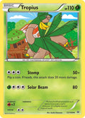 12-tropius