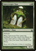 124-gatecreepervine