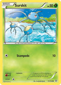 13-surskit