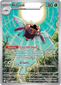 137-ninjask