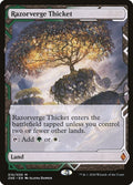 15-razorvergethicket