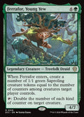16-ferraforyoungyew