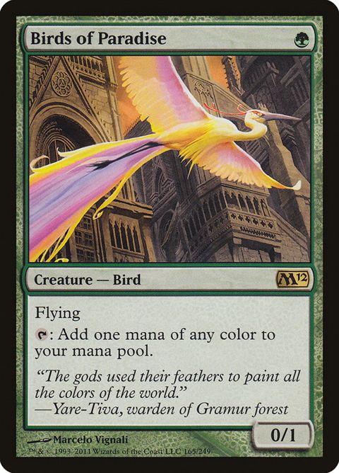 165-birdsofparadise