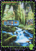 1656-forest