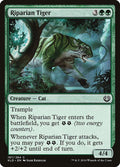 167-ripariantiger