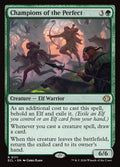 171-championsoftheperfect