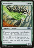 174-burlfistoak