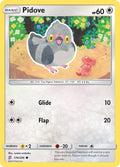 174-pidove