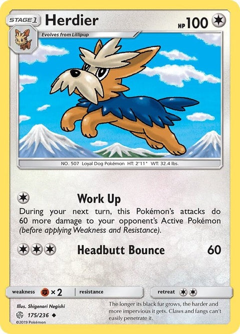 175-herdier