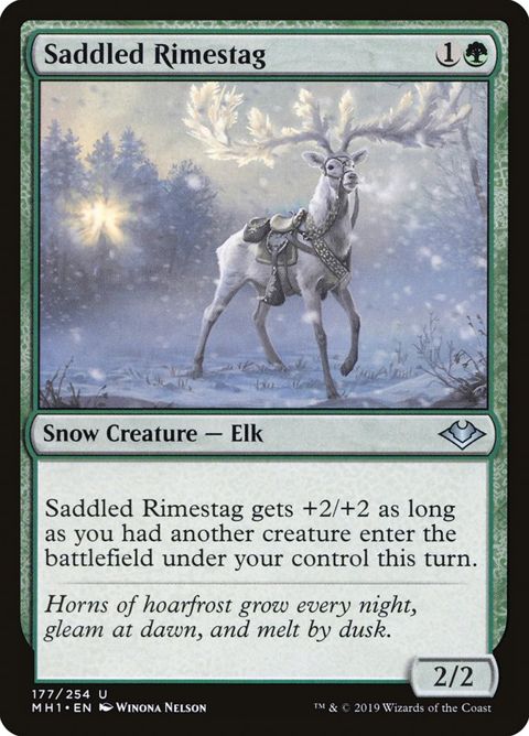 177-saddledrimestag