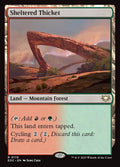 178-shelteredthicket