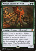 179-ashayasoulofthewild