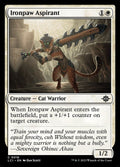 18-ironpawaspirant