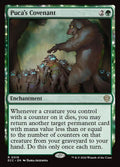 18-pucascovenant