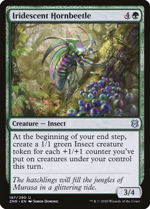 187-iridescenthornbeetle
