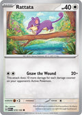 19-rattata
