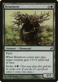 199-briarhorn