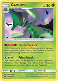 20-cacturne