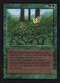 205-kudzu