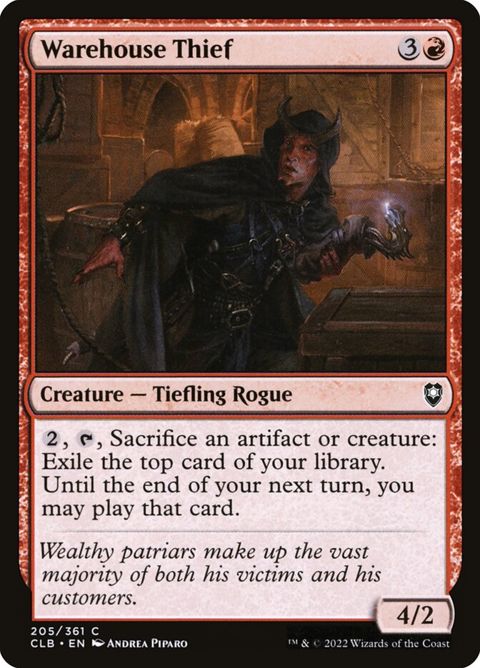 205-warehousethief