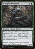 209-moldgrafmillipede