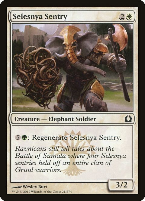 21-selesnyasentry
