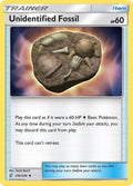 210-unidentifiedfossil