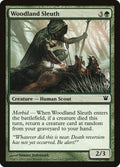210-woodlandsleuth