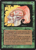 211-llanowarelves