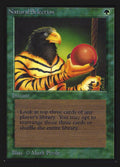 213-naturalselection