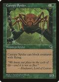 217-canopyspider