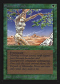 217-shanodindryads