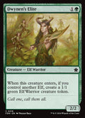 218-dwynenselite