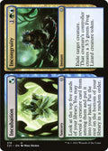 219-incubationincongruity