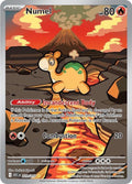 223-numel