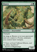224-brawn