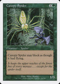234-canopyspider