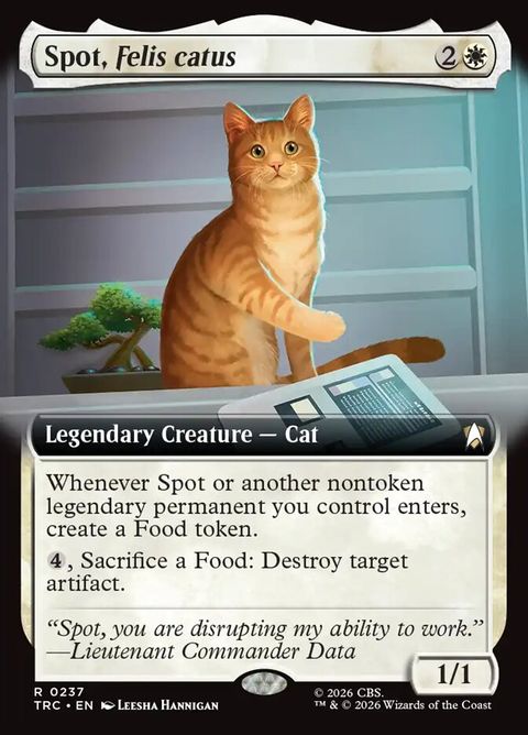 237-spotfeliscatus
