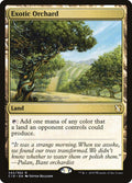242-exoticorchard