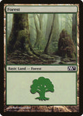 246-forest