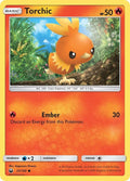 25-torchic